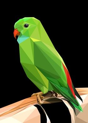 Abstract Green Parakeet