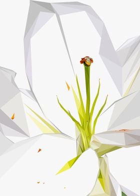 White Flower Abstract