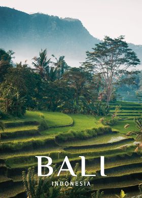 Island Of Bali Indonesia