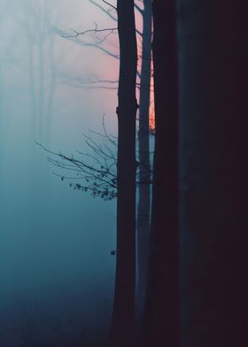 Trees Artwork-preview-2