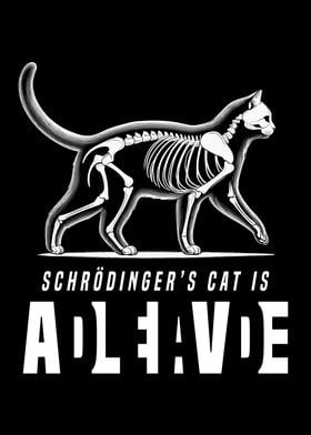 Schrdingers Cat Physics 