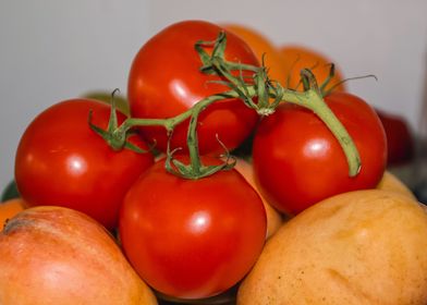 red tomatos