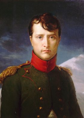 Napoleon Premier Consul