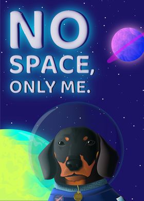 Dachshund in Space