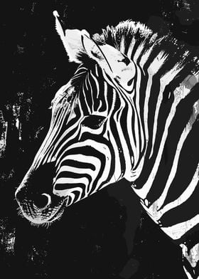Zebra Black And White Art
