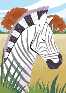 Zebra Animal