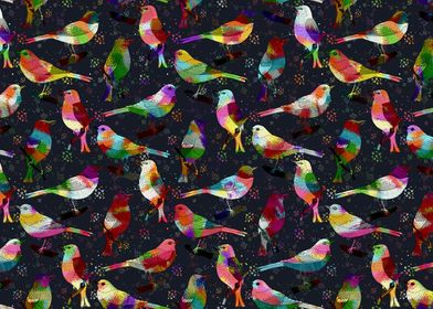 Colorful Wild Birds