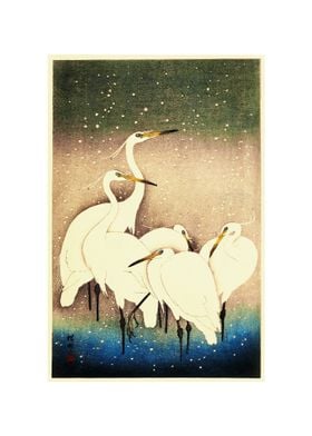 A Group of Egrets
