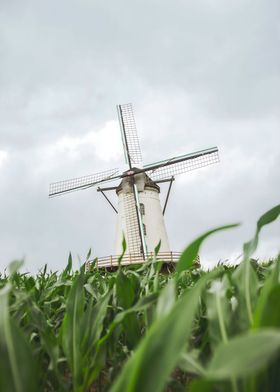 WindMill in the Nature