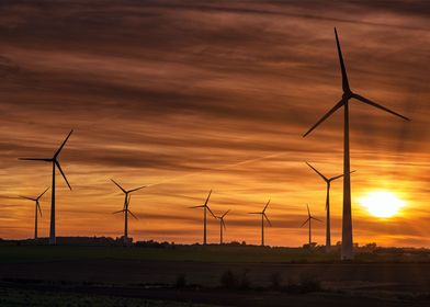 Wind Mills in the Nature