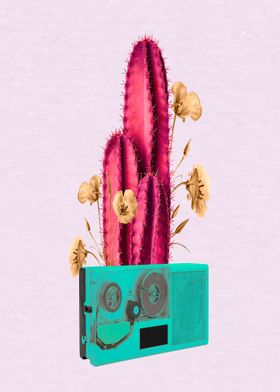 Cactus Desert Musical