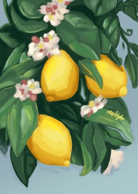 Lemon Tree