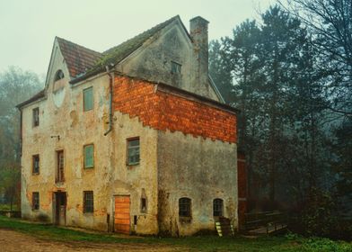 Abandoned House in Forest