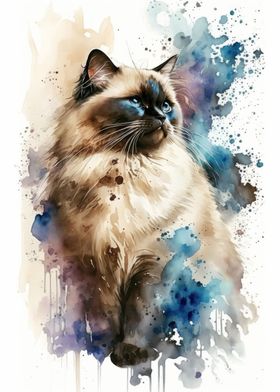 Birman Cat Watercolor