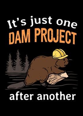 Its Just One Dam Project
