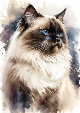 Birman Cat Watercolor Art