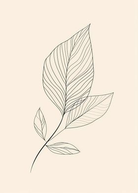 Line Art Flower Leaf