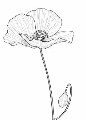 Line Art Flower