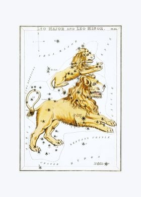 Zodiac Sign Leo