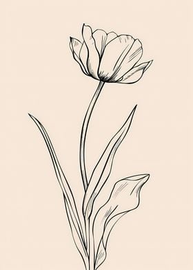 Line Art Flower Tulip