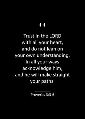 Proverbs 3 3 6