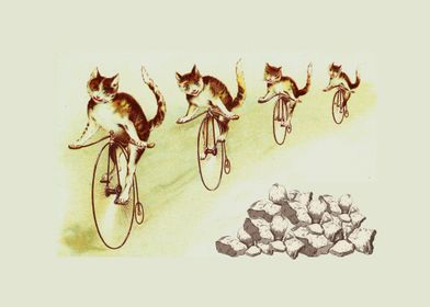 Cats on Bicycles