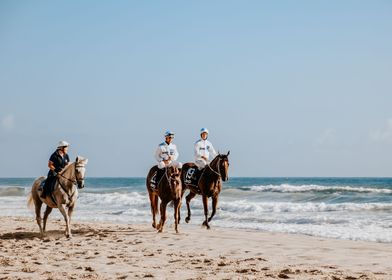 Racehorses on Beach