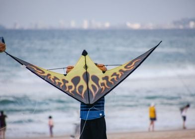 Kite flying at Beach