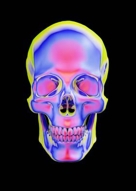 3D Thermal Skull