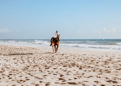 Racehorse on beach