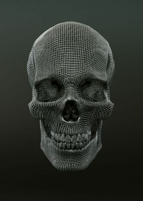 3D Metal Grid Skull