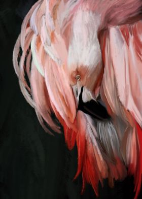 Dark Flamingo in Oil