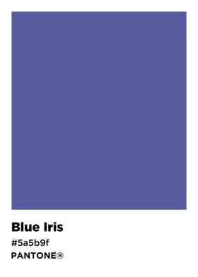 Blue iris color pantone