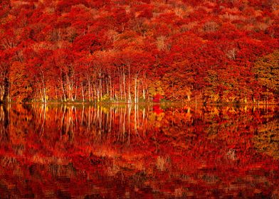 Autumn colors Tohoku Autum