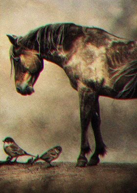 Horse And Birds