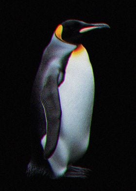 Penguin Portrait