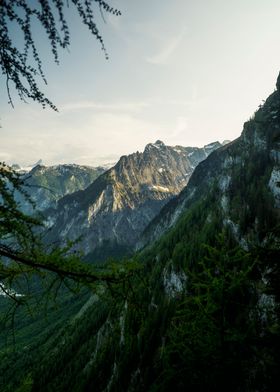 Towering Cliffs