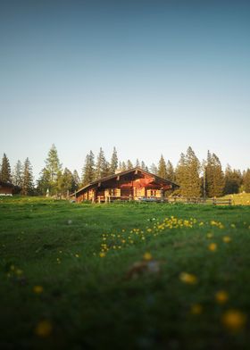 Cottage in the Meadows