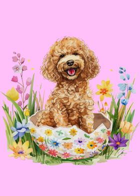 Cute Easter Poodle