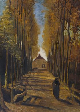 Avenue Poplars in Autumn