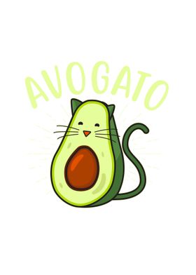 avogato