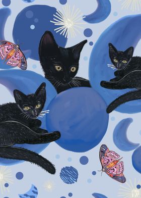 Black cat with moon phases