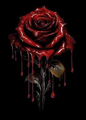 Blood Rose 