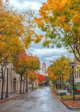 Autumn Rain at Stanford