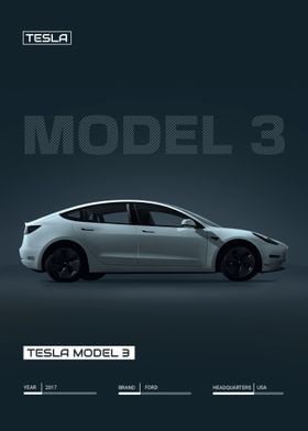 Tesla Model 3 Car