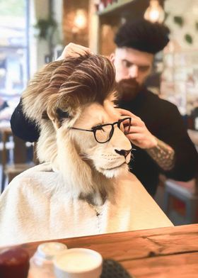 A lion at the barbershop