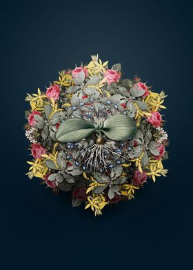 Massonia Pustulata Wreath