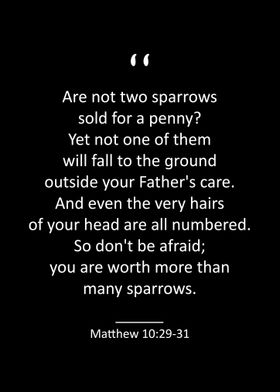Matthew 10 29 31