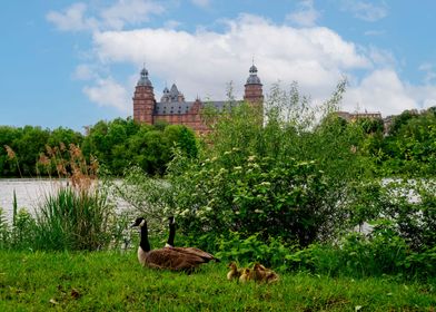 The geese and a castle