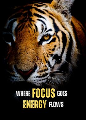 Where Focus Goes Tiger